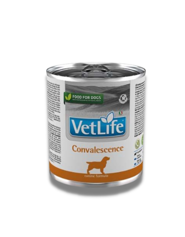 farmina vet life convalescence canine lata 300gr